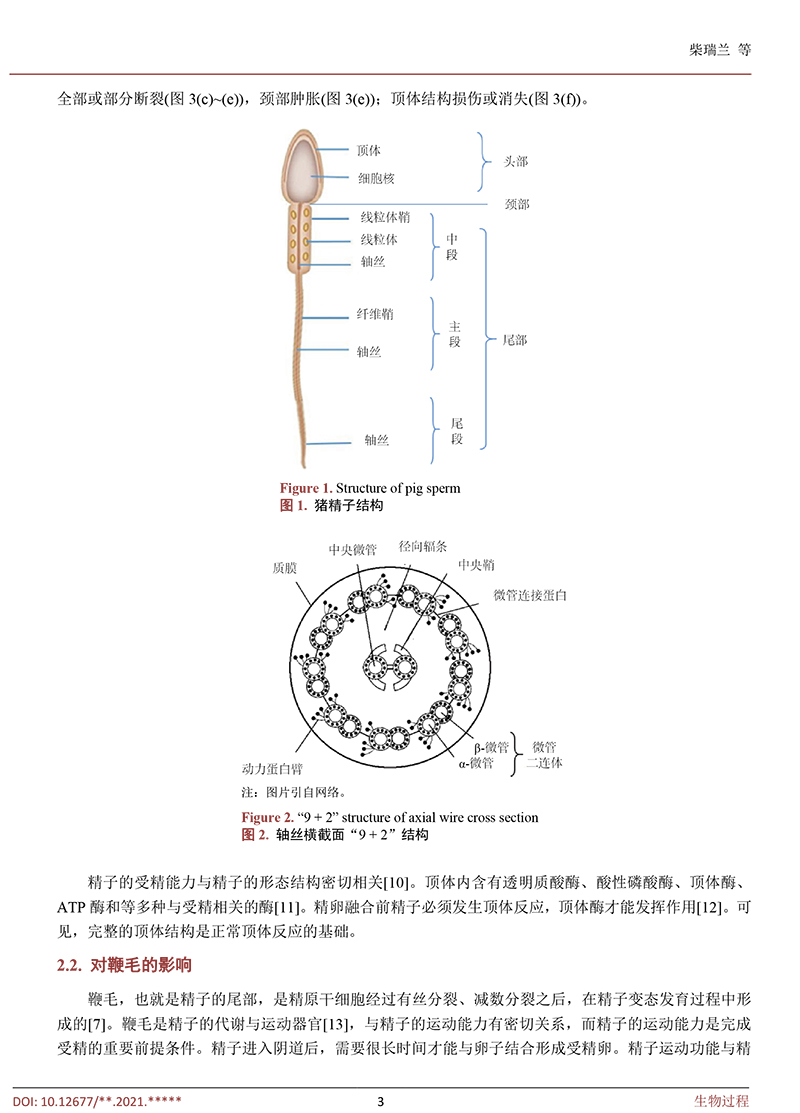 低溫冷凍保存對豬精子的影響-3.jpg