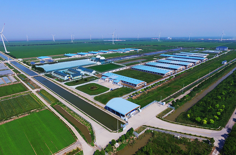 1632962654223690.jpg 1-公司生產(chǎn)基地.jpg