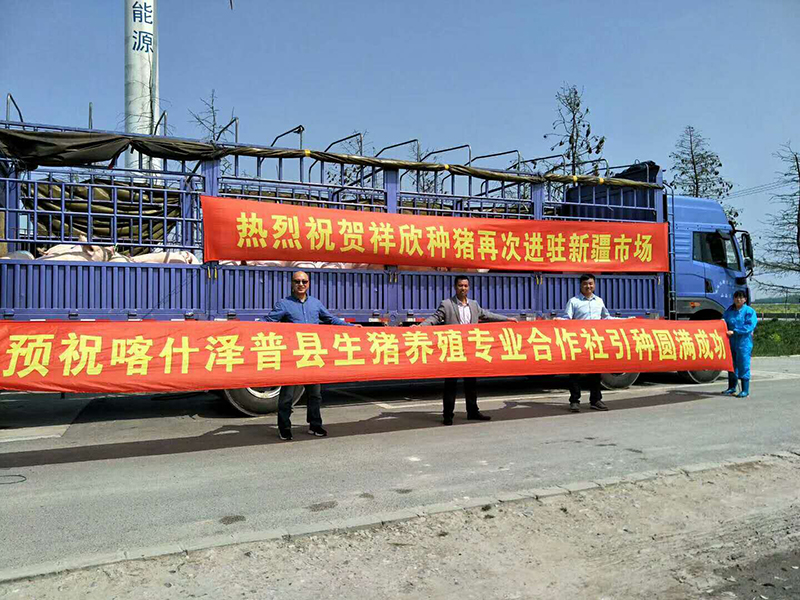 2018.4.2新疆喀什澤普縣（3）.jpg