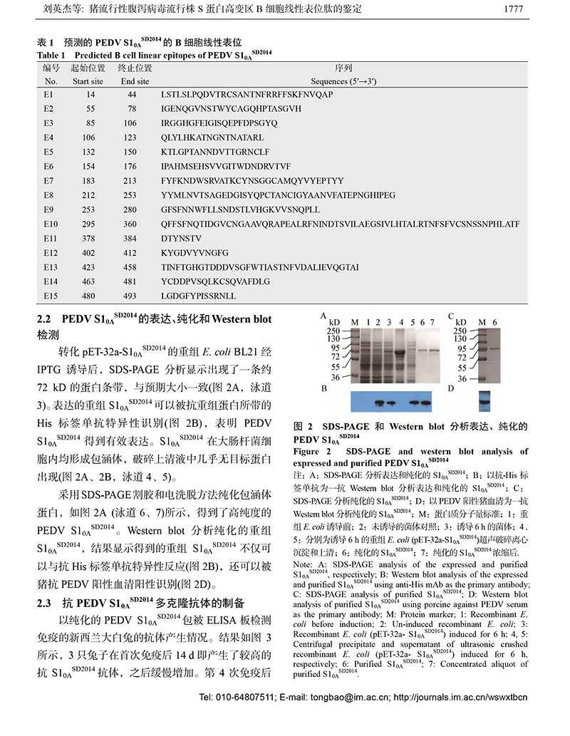 14-豬流行性腹瀉-6.jpg