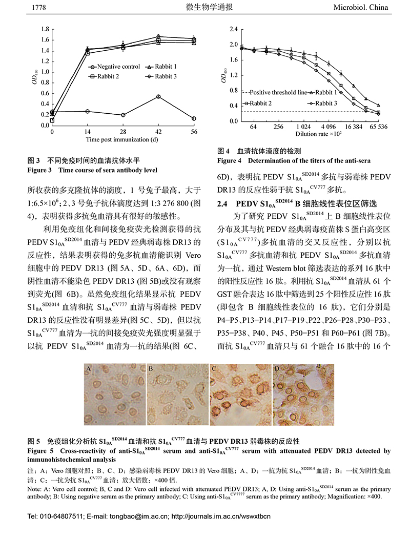 14-豬流行性腹瀉-7.jpg