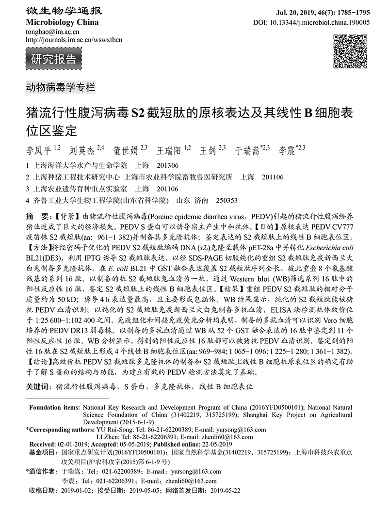 12-豬流行性腹瀉病毒S2-1.jpg