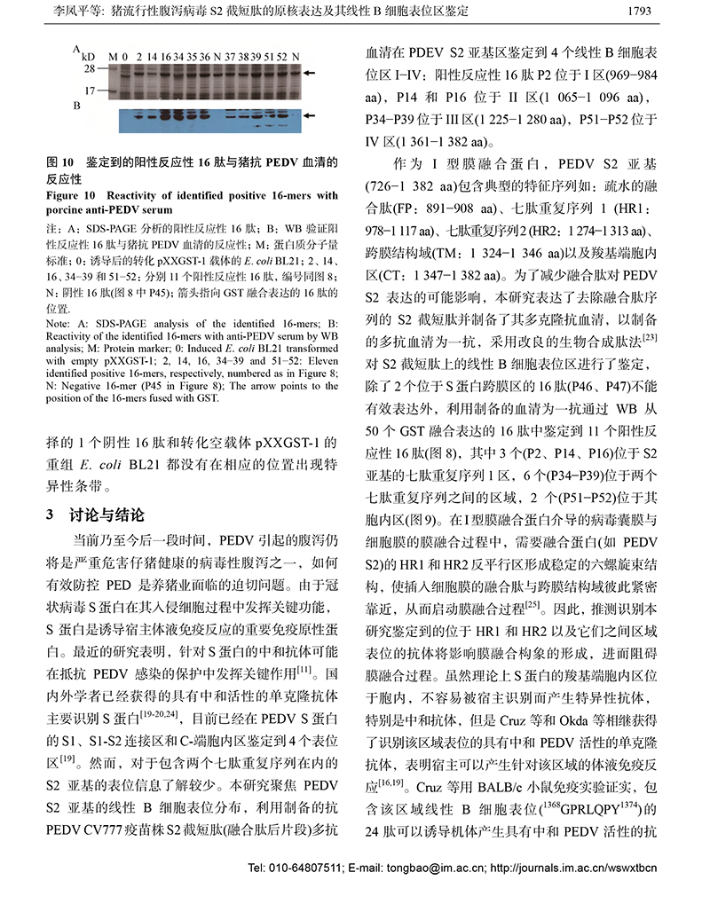 12-豬流行性腹瀉病毒S2-9.jpg