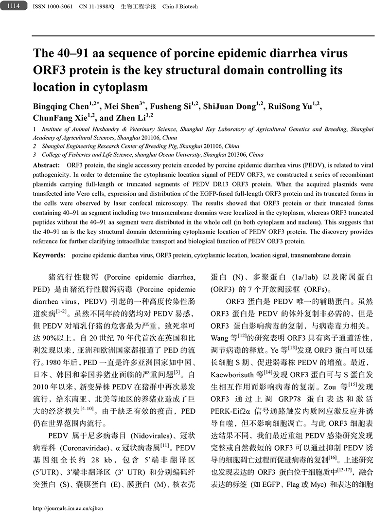 18、豬流行性腹瀉病毒ORF3蛋白-2.jpg
