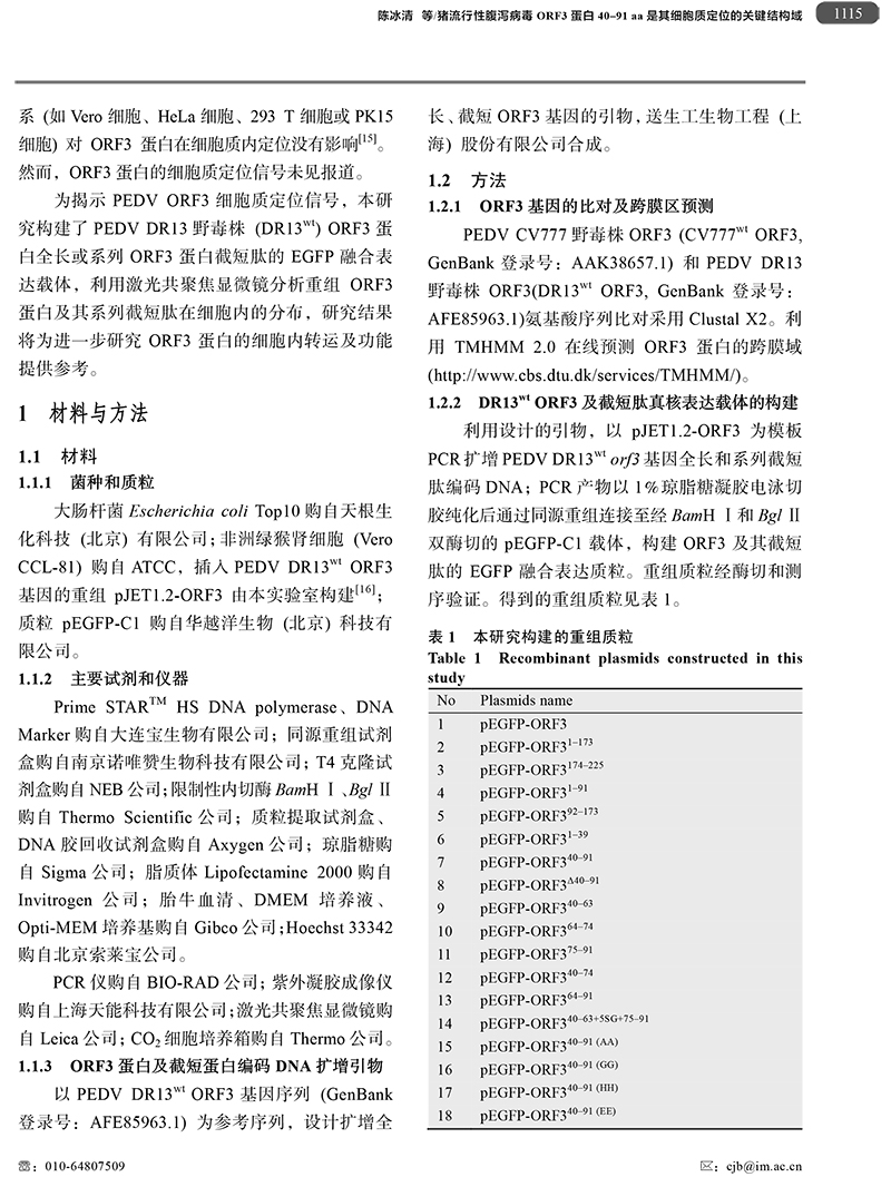 18、豬流行性腹瀉病毒ORF3蛋白-3.jpg