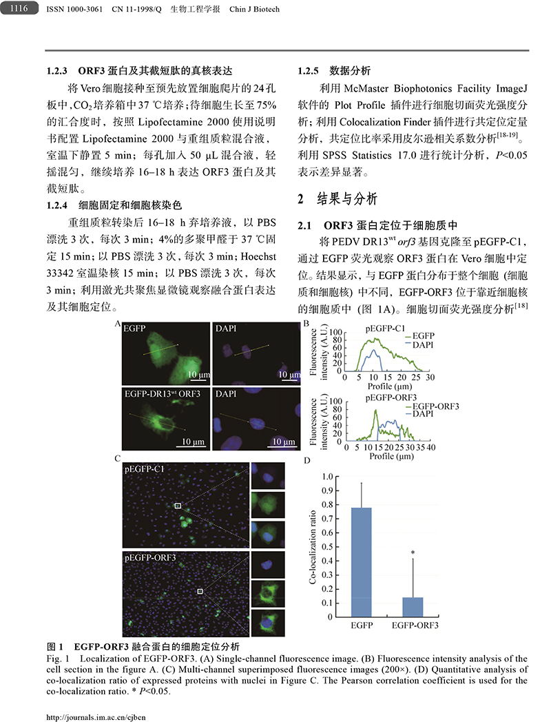 18、豬流行性腹瀉病毒ORF3蛋白-4.jpg