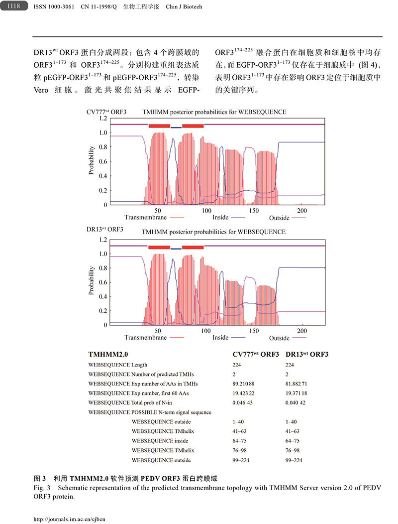18、豬流行性腹瀉病毒ORF3蛋白-6.jpg