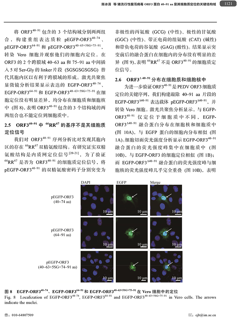 18、豬流行性腹瀉病毒ORF3蛋白-9.jpg