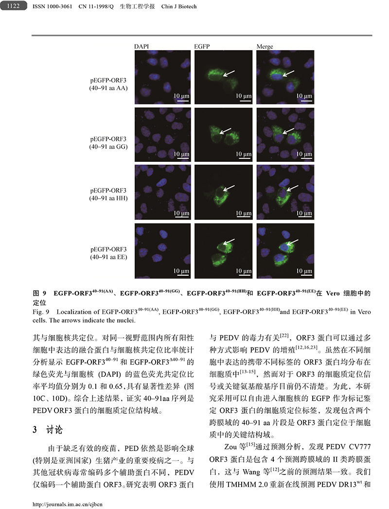 18、豬流行性腹瀉病毒ORF3蛋白-10.jpg