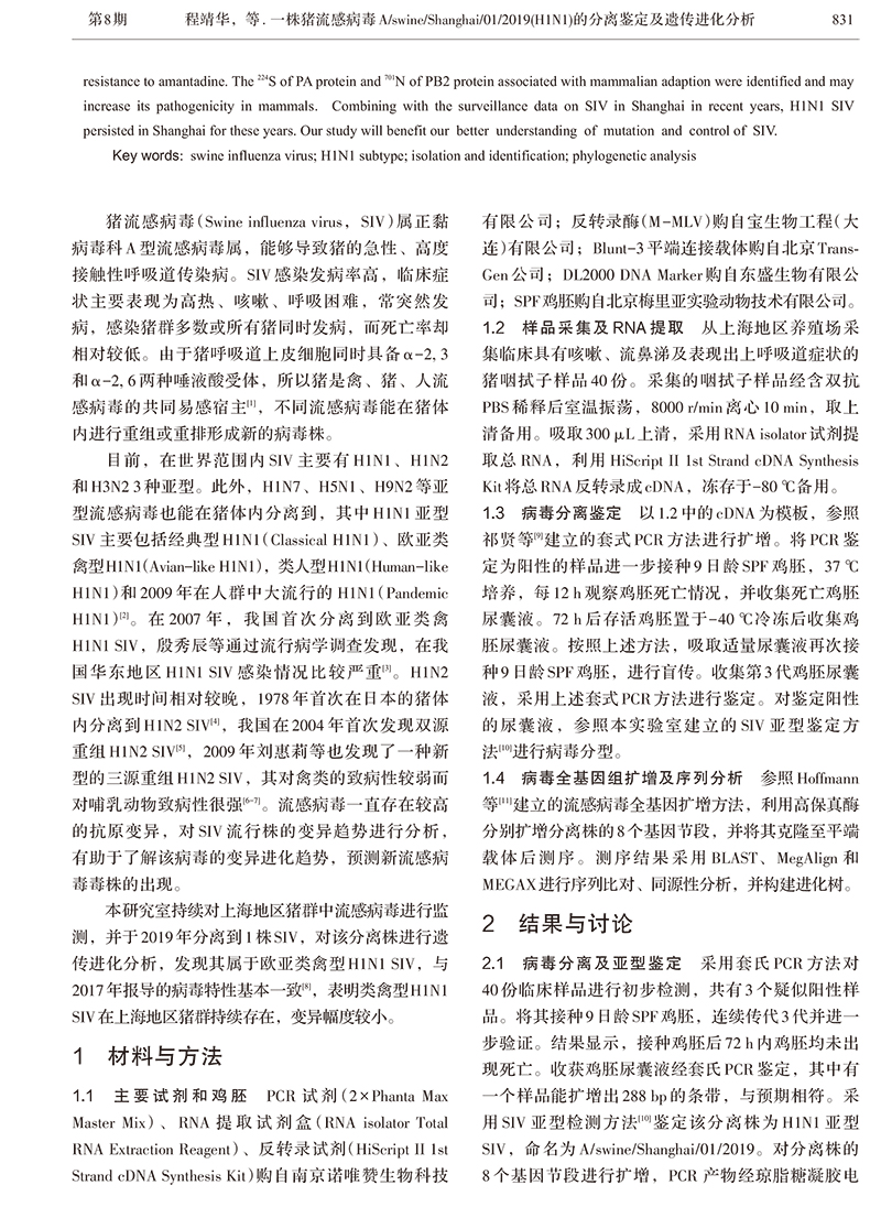 17、一株豬流感病毒A_swine_S-2.jpg