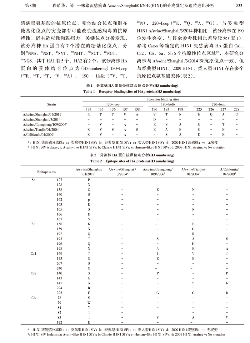 17、一株豬流感病毒A_swine_S-4.jpg