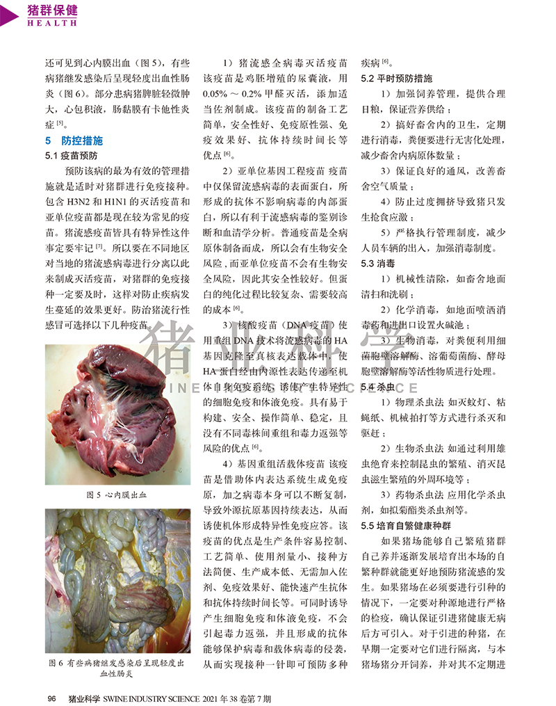 豬流行性感冒-3.jpg