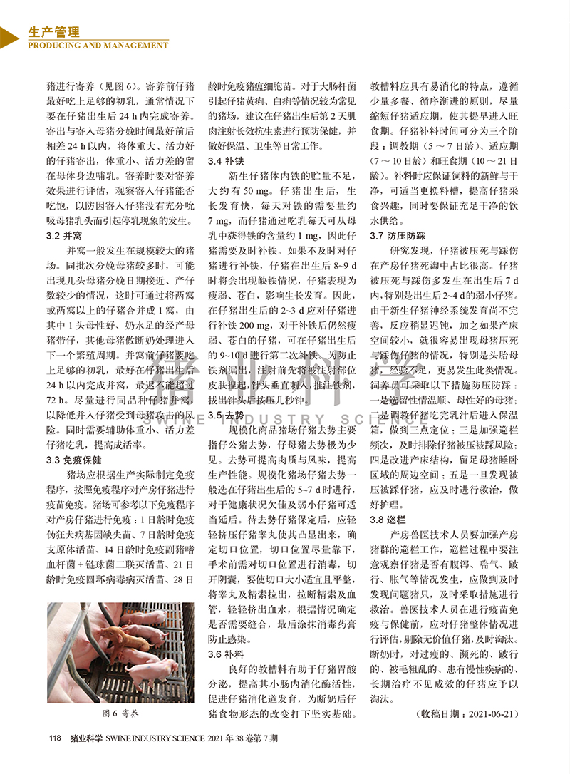 產(chǎn)房仔豬精細(xì)化管理概要-3.jpg