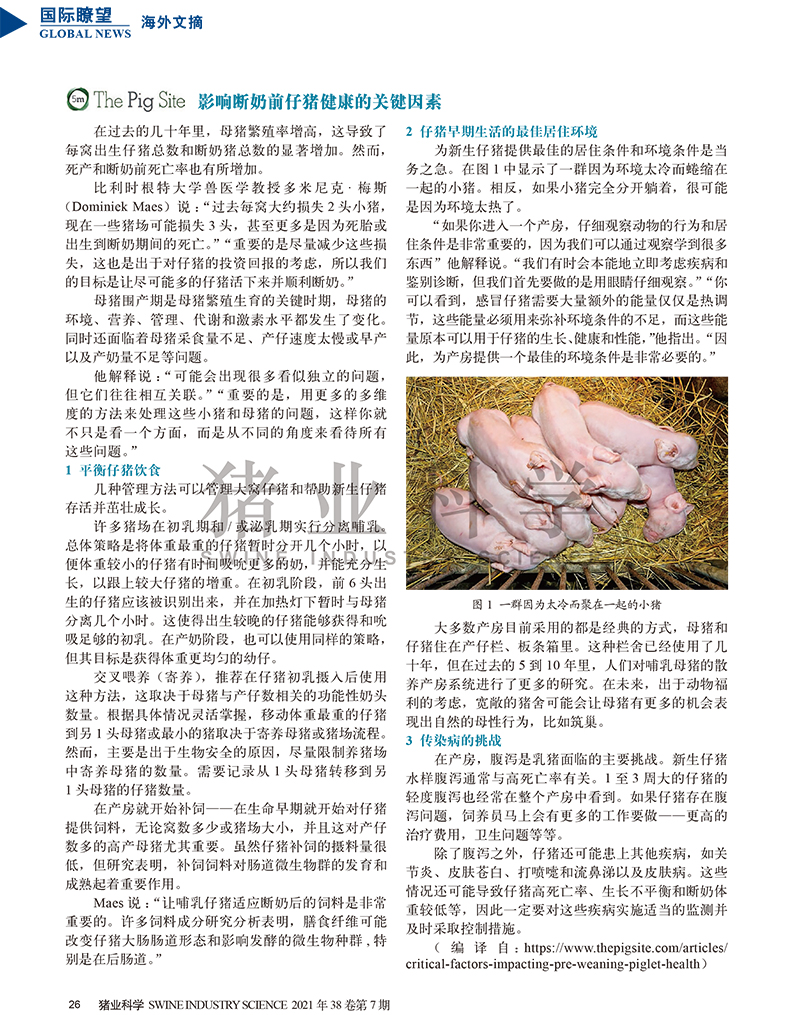 影響斷奶前仔豬健康的關(guān)鍵因素.jpg